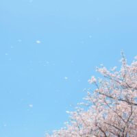 大学の合格発表